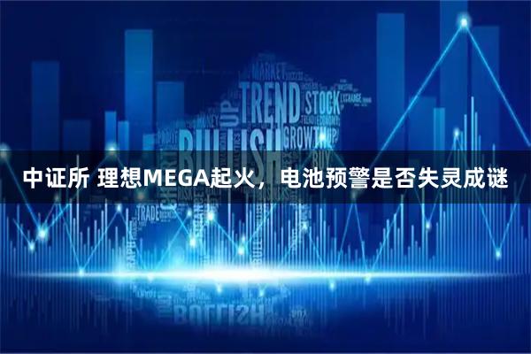 中证所 理想MEGA起火，电池预警是否失灵成谜