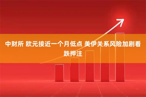 中财所 欧元接近一个月低点 美伊关系风险加剧看跌押注