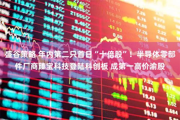 盛谷策略 年内第二只首日“十倍股”！半导体零部件厂商臻宝科技登陆科创板 成第一高价渝股