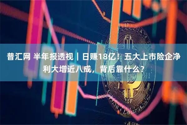 普汇网 半年报透视｜日赚18亿！五大上市险企净利大增近八成，背后靠什么？