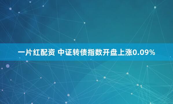 一片红配资 中证转债指数开盘上涨0.09%